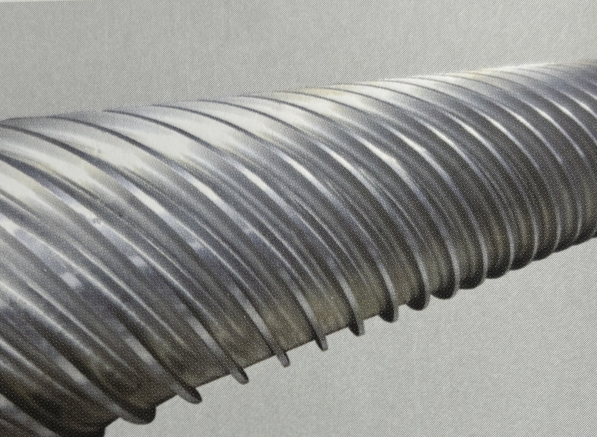 Con lăn hiệu quả tường mỏng